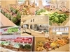 千歳市末広 Moco モコプラス Newオープンのお店 まいぷれ 千歳 恵庭 千歳市末広 Moco モコプラス Newオープンのお店 まいぷれ 千歳 恵庭