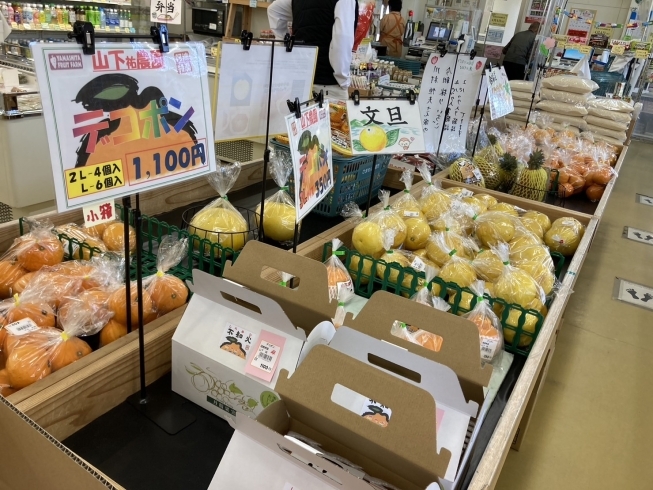 「【川島店】柑橘類、たけのこ、春の山菜が大人気！」
