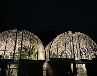 美しくライトアップされた植物公園「【水戸】植物公園の『Night　Botanical　Garden2022』でロマンスな一夜を過ごしませんか？【植物公園】」