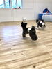 みんなで追いかけっこ中　^ - ^「ましゅまろ幼稚園　(^-^)」