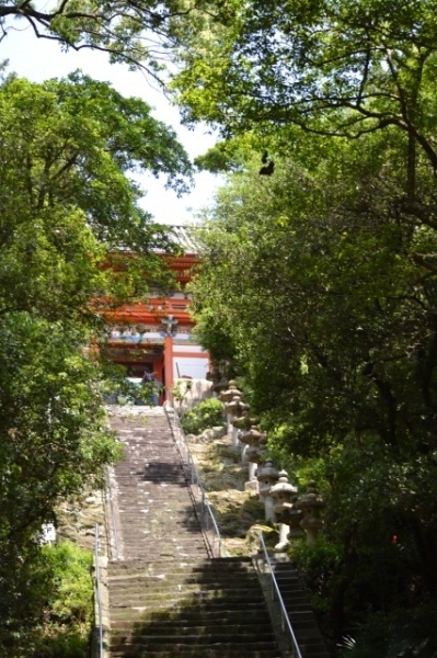 新緑映える東照宮の石段。