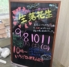 「生落花生の販売が決まりました！」