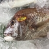 「魚魚市場鮮魚コーナーおすすめ商品は「カワハギ・ノドグロ」です♪」