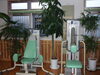 「観葉植物が育っています。　交野市　有料老人ホーム　デイサービス」