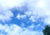 「こうしておけば、、という思いは、、」