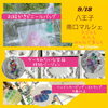「八王子南口マルシェ」