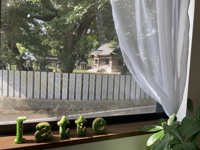 神社が朝日を浴びて神々しいです「本日午前中は施設に出張です」