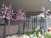 玄関の桜（電飾ですが、、）「桜の季節（冷たい雨の日ですが）」