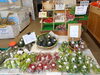 「旬のお野菜取り揃えております。」