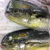 「魚魚市場鮮魚コーナーおすすめは、「シイラ」です♪」