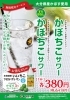 大分県産「かぼす」を使用しております♪「大分県産かぼす使用「かぼちこサワー」」