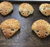 「パンの紹介  【石狩のパン屋 こむぎっこ】」