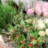 「【はなやHOK皆生店】お正月のお花たくさんあります！」