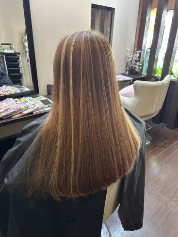 メッシュ(before)「お洒落オレンジに、カラーチェンジ🍊」