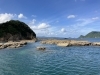 穏やかな日が戻りますように「19日(月)は、クラブは終日お休みします」