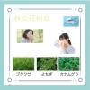 秋の花粉症にご注意 宮崎 アロマ アロマスクール Calmer カルメ のニュース まいぷれ 宮崎