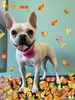 「可愛い子ちゃん♡Dog salon mofu mofu 余市町」