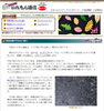 プレゼントコーナーもあるので、ぜひご覧ください♪「☆★９/２１無料メールマガジン「いれもん通信」２１２号を発行しました★☆ 恒例のプレゼントコーナーもあるので、ぜひご覧下さい (^O^)/♪」