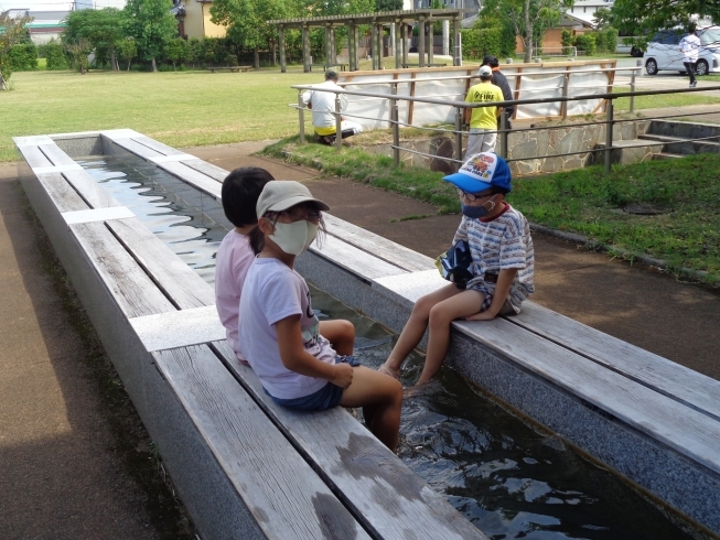 「足湯に行きました」