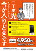 「ニーポ光は今が入りどきです。」