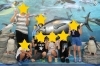 「葛西臨海水族園に行ってきました」