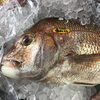 「魚魚市場鮮魚コーナーおすすめは「ヒオウギ貝」です♪」
