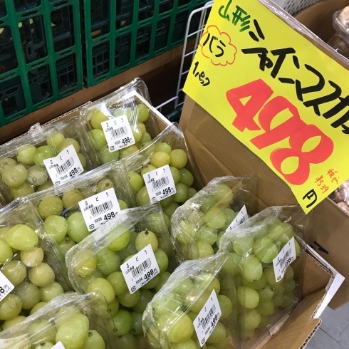 美味しいシャインマスカット「美味しく食べて体力つけよう」