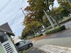 紅葉ですかぁ「えっもう？」