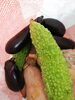 「お得意様から、自家菜園の野菜を沢山頂きました！＼(^o^)／」