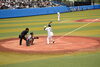 「『プロ野球イースタン・リーグ戦（浦安市）』」