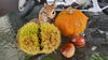 「10月のお休みのお知らせ。」