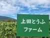 上田とうふファーム＼(^-^)／「上田とうふファーム情報(^-^)/《西京区　大原野　大豆栽培　豆腐　上田の手あげ》」