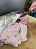 たっぷり１キロありました。新鮮です。「今朝の仕入れ」