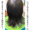 育てるカラーリング&プラチナトリートメント「育てるカラーリング&プラチナトリートメント」
