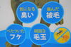 「ミニチュアダックス専門店」