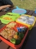 朝7：00からせかせか作ったお弁当。「ピクニック日和！？【まいぷれ・西京区・南区・編集部】」