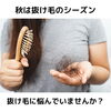 秋の抜け毛に悩んでいませんか？「秋は1日200本以上⁉︎私の髪の毛、大丈夫⁉︎【宮崎市 脳洗浄 筋膜リリース 不眠 頭痛 むくみ セルライト】」