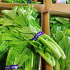 「この野菜(葉っぱ)、一体なーんだ！？」