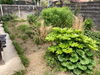 「浜松市中区で草刈り、伐採作業、除草剤散布【浜松で遺品整理・生前整理・お掃除・不用品回収ならプロハーツ】」