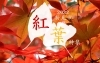 新見市の紅葉特集、公開しました。「新見市の紅葉特集2022、公開しました！」