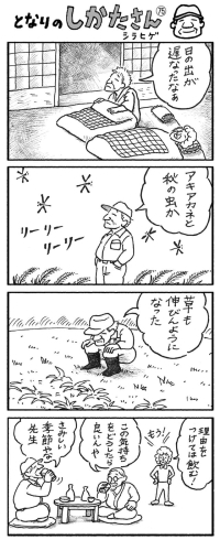 「【4コマ漫画「となりのしかたさん」を不定期連載】」