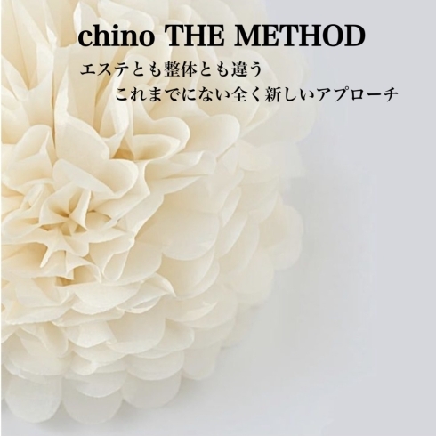「Chino THE METHOD チノザメソッドとは？  美骨矯正/美骨整体/チノザメソッド和歌山」