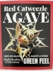 オリジナルポスター販売中！【福島市 観葉植物専門店】 | Green
