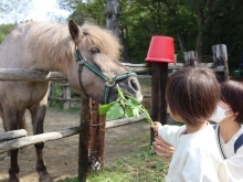 飯豊町の《ひらすび牧場》で、お馬さんと触れ合ってきました✨