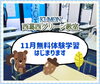 「【公文式西葛西グリーン教室】11月無料体験学習がはじまります」