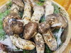 「【味の庄　伯備】新見産松茸入荷しました❗️」