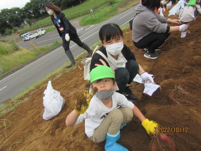 仲良くお芋堀り★「たくさん収穫できたよ♪」