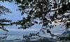 今朝の小樽港「Good morning Otaru!」