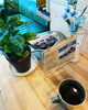 「New Beans入荷　”HONDURAS“」