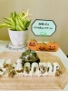 ⭐️ハロウィン探し⭐️「季節の変わり目、不調を感じる方へ⭐️」